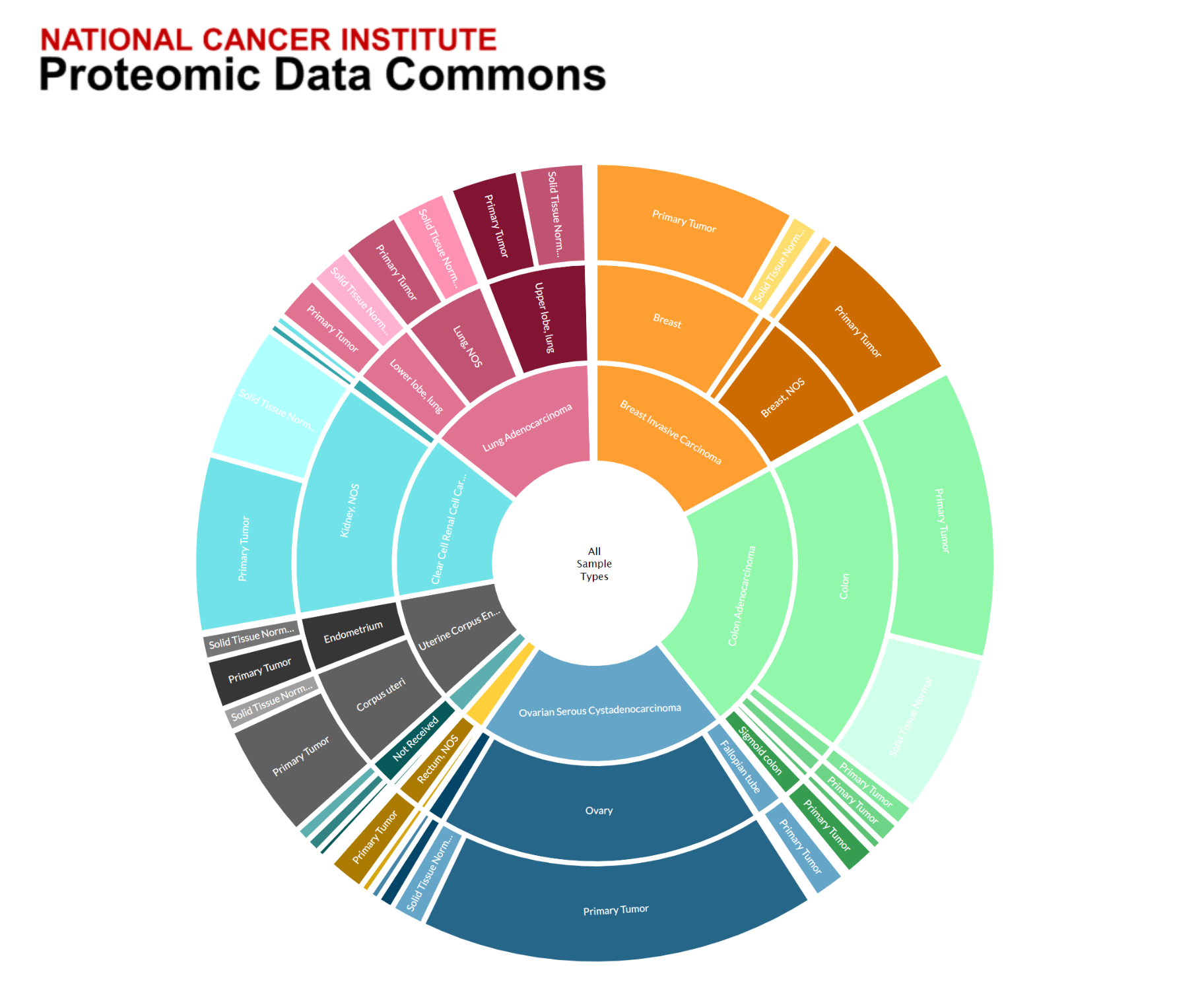 Coxcomb plot style graphic with multiple cancer sample types labeled throughout the plot.  This graphic is being used to identify and relate to the Proteomic Data Commons.  Header text reads: National Cancer Institute Proteomic Data Commons.