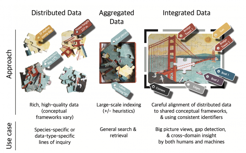 Illustration uses the analogy of a puzzle pieces coming together to explain the difference between distributed, aggregated, and integrated data. Distributed data is represented as four separate puzzle piece piles representing different themes of a puzzle. The use case for these data are rich high-quality data (conceptual frameworks vary) or species-specific or data-type-specific lines of inquiry. Aggregated data is show as those four piles of puzzle pieces coming together in a box. The use case of the data are large-scale indexing (+/- heuristics) or general search and retrieval. Integrated data shows the full, put-together picture. The use case for the data is careful alignment of distributed data to shared conceptual frameworks, & using consistent identifiers and big picture views, gap detection, & cross-domain insight by both humans and machines.
