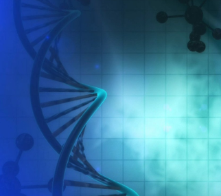 A deoxyribonucleic acid (DNA) double hilux floats between two molecular patterns. Both are displayed on a blue-colored grid. 