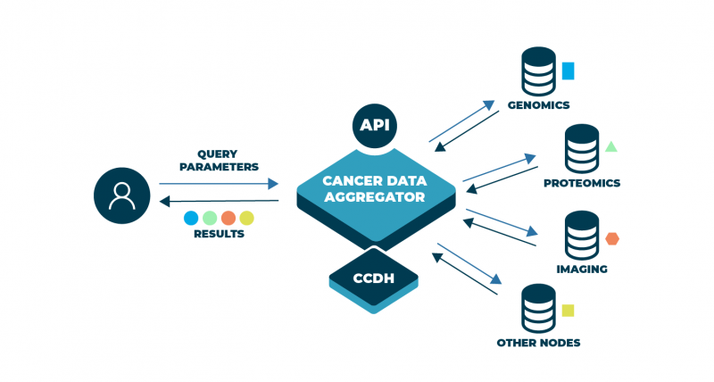 Illustration shows how different types of data can be aggregated for analysis. This aggregation is further enhanced by harmonization through the Center for Cancer Data Harmonization or CCDH and through the use of Application Programming Interfaces (API), which help to automate the aggregation-and-harmonization process, ultimately making it easier and more efficient to analyze data. Bringing such disparate data together allows for more informed research into how to prevent, diagnose, and treat cancer. 