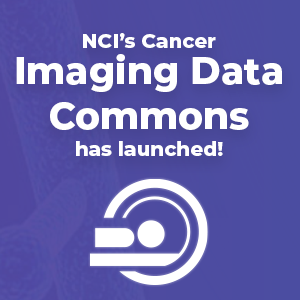 An icon depicts a human entering a CT scanning machine. Foreground text reads, "NCI's Cancer Imaging Data Commons has launched!"