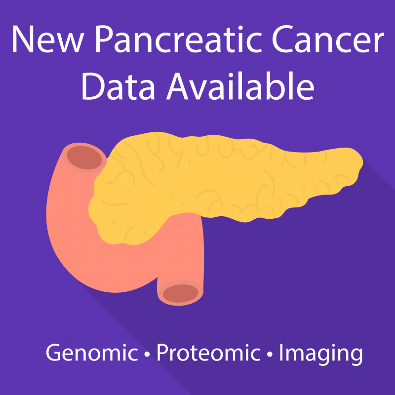 Illustration of human pancreas. Text reads "New Pancreatic Cancer Data Available. Genomic, Proteomic, Imaging."