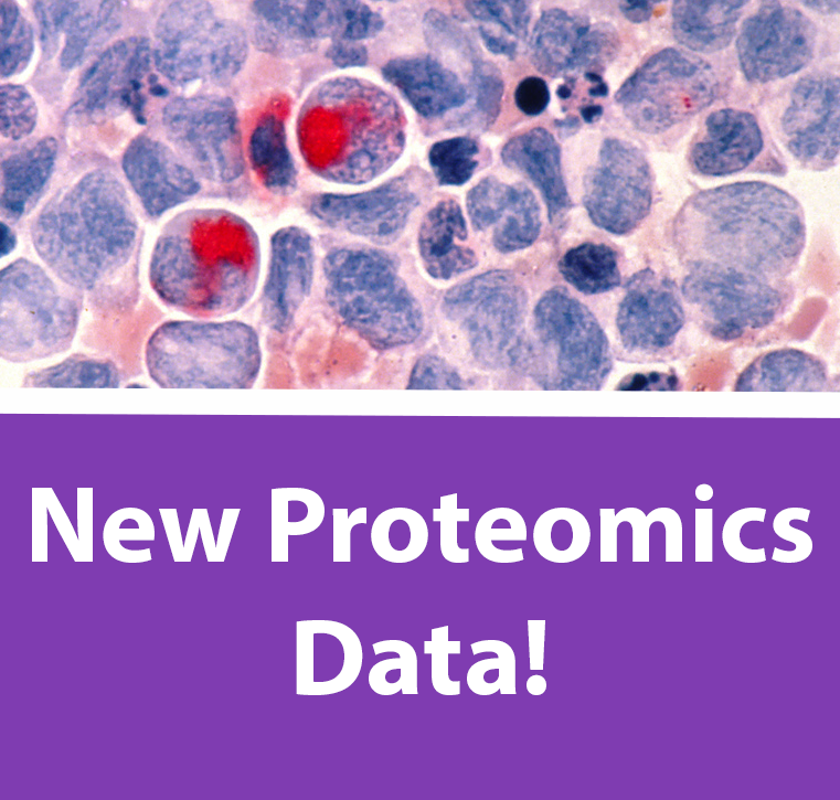 Background shows a colored tissue sample. In the foreground, white text on a purple backdrop reads, "New Proteomics Data!"