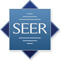 The SEER Logo.  Text Reads SEER.  The text is set in a blue decortive box.