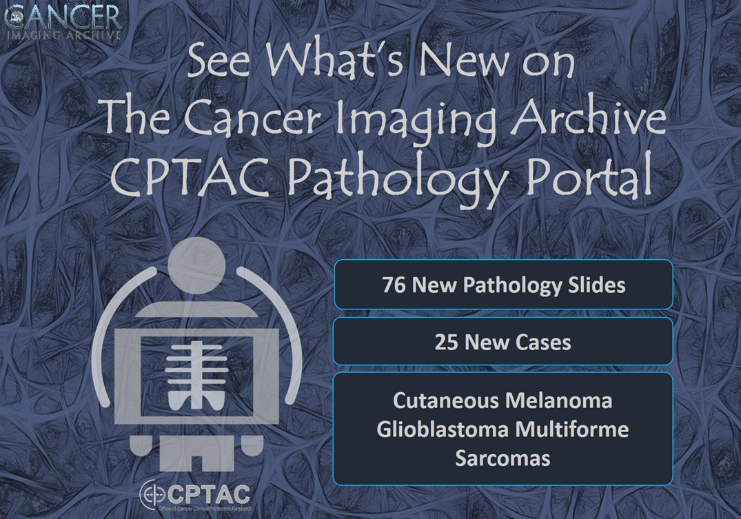 Icon of a X-ray machine showing a user icon's skeletal system over a background of sarcoma tisuse cells. The overlaid text reads "See what's new on the Cancer Imaging Archive CPTAC Pathology Portal: 76 new pathology slides, 25 new cases, and Cutaneous Melanoma, and Glioblastoma Multiforme Sarcomas"