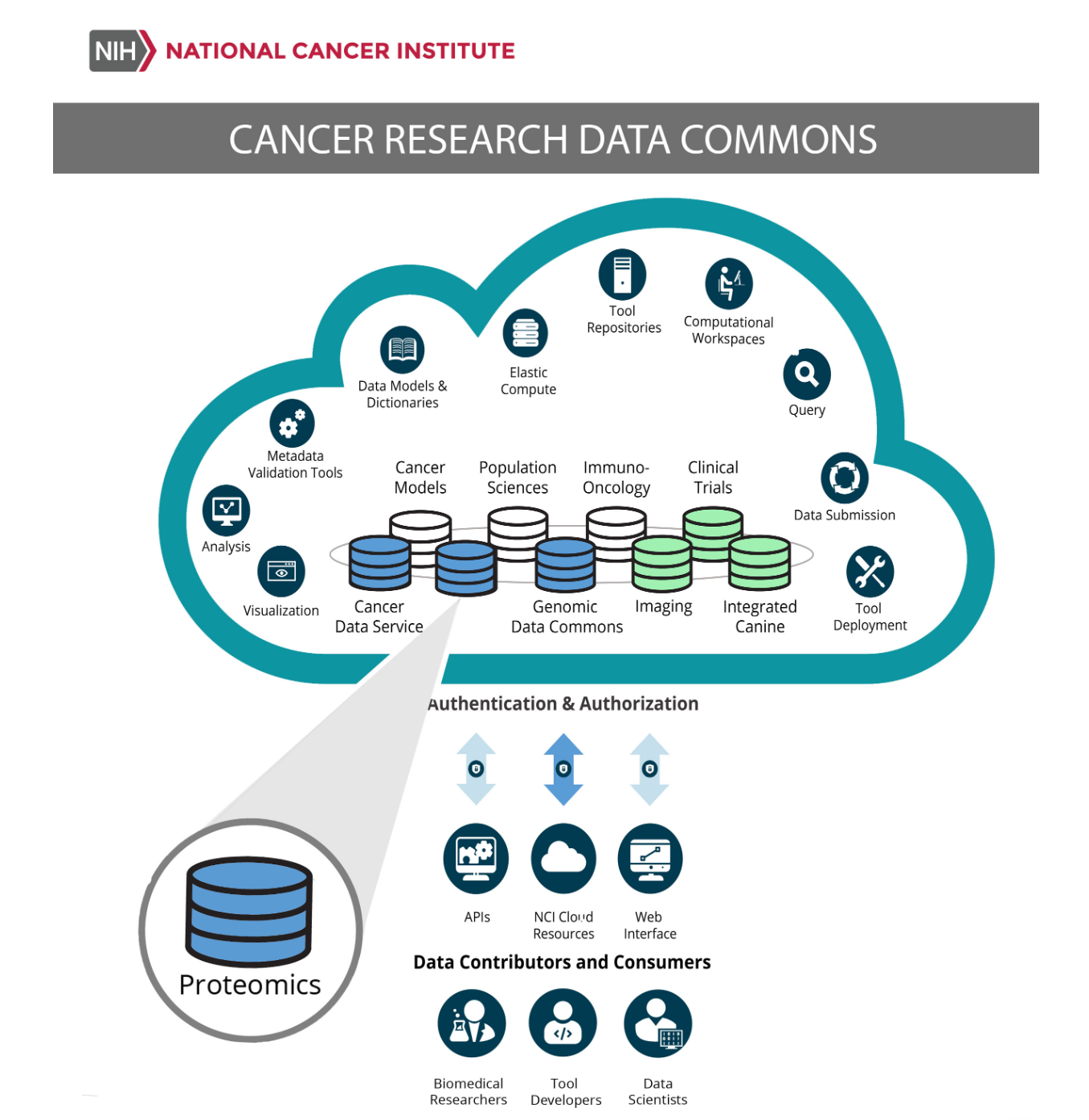 Multiple icons that represent working flow of NCI's Cancer Research Data Commons (CRDC). The CRDC provides biomedical researchers, tool developers, and data scientists with access to data from NCI programs through the Genomic Data Commons, NCI Cloud Resources, and Proteomics Data Commons. The CRDC allows users to analyze, share, and store results, and is growing to include a wider range of data, including proteomics, imaging, and canine.