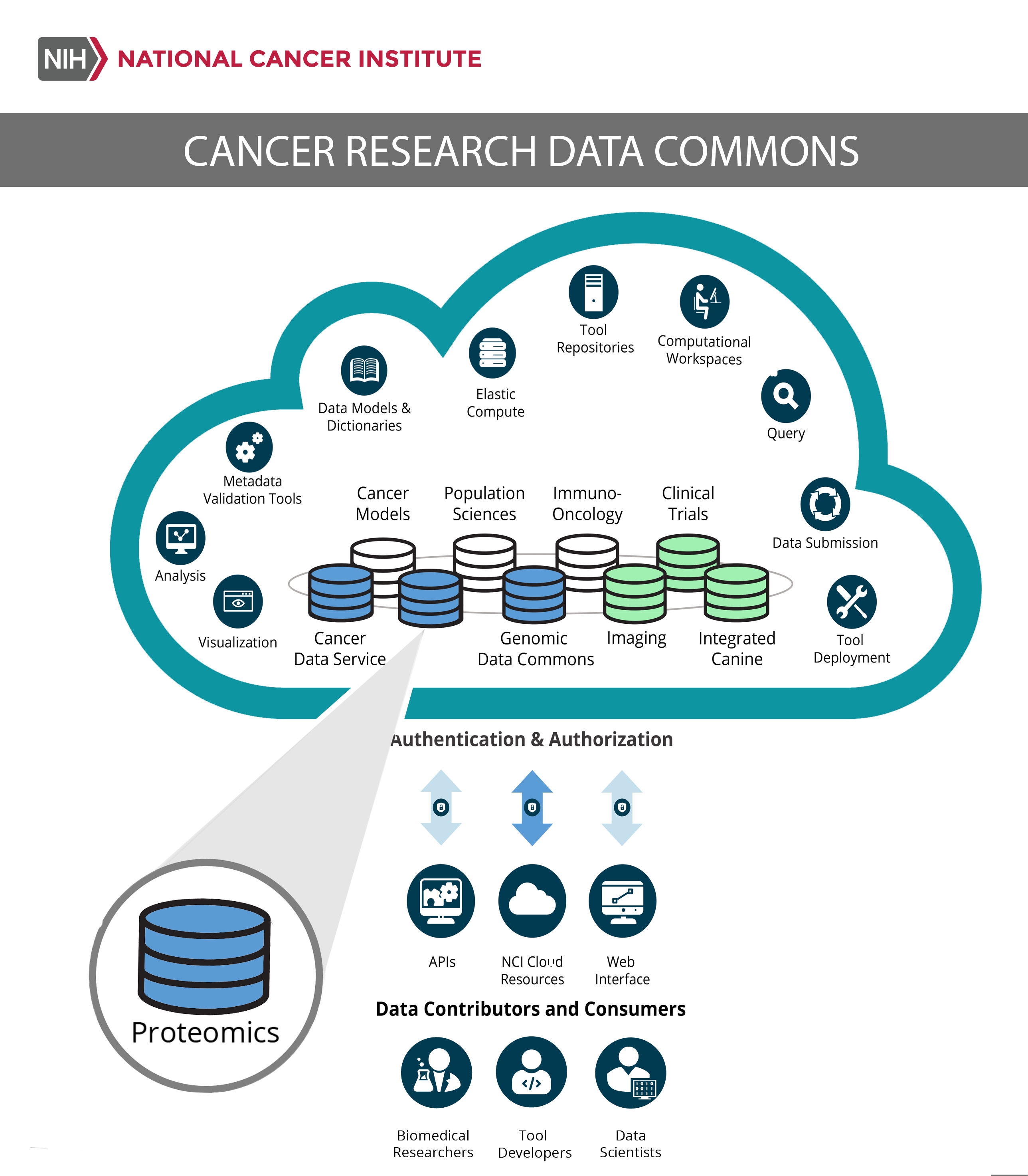 The NCI Cancer Research Data Commons (CRDC) provides biomedical researchers, tool developers, and data scientists with access to data from NCI programs through the nodes like the Proteomics Data Commons. The CRDC allows users to analyze, share, and store results, and is growing to include a wider range of data, including proteomics, imaging, and canine.