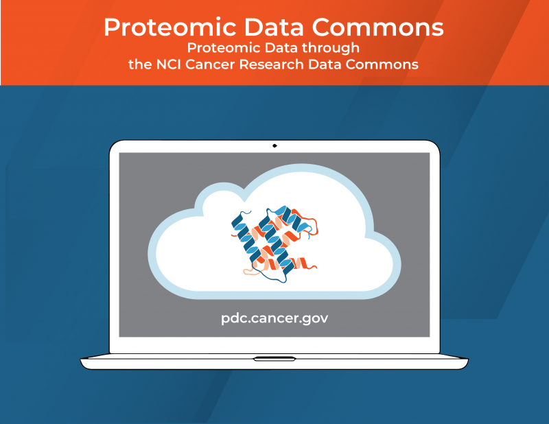 Proteomic Data Commons. Proteomic Data through the NCI Cancer Research Data Commons. pdc.cancer.gov