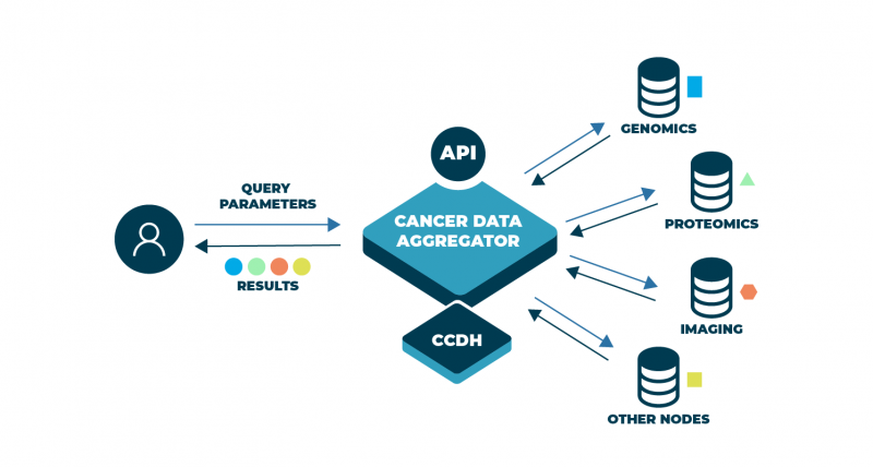 Illustration shows how different types of data (protoemics, genomics, imaging, and others nodes) can be aggregated for analysis. This aggregation is further enhanced by harmonization through the Center for Cancer Data Harmonization, or CCDH, and through the use of Application Programming Interfaces (API), which help to automate the aggregation-and-harmonization process, ultimately making it easier and more efficient to analyze data. Bringing such disparate data together allows for more informed research into how to prevent, diagnose, and treat cancer.
