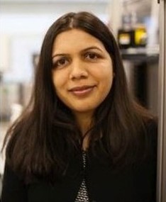 Anju Singh, Ph.D.