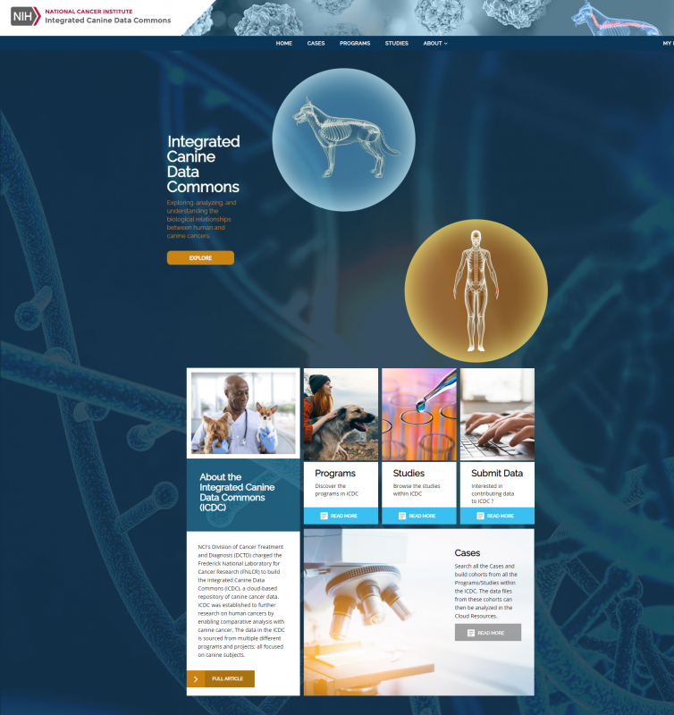 A screenshot of the Integrated Canine Data Commons website homepage. Banner reads, "NIH National Cancer Institute Integrated Canine Data Commons." Website navigational menu reads, "Home Cases Programs Studies About." Remainder of homepage texts reads, "Integrated Canine Data Commons. Exploring, analyzing, and understanding the biological relationships between human and canine cancers. Explore. About the Integrated Canine Data Commons (ICDC). NCI's Division of Cancer Treatment and Diagnosis (DCTD) charged the Frederick National Laboratory for Cancer Research (FNLCR) to build the Integrated Canine Data Commons (ICDC), a cloud-based repository of canine cancer data. ICDC was established to further research on human cancers by enabling comparative analysis with canine cancer. The data in the ICDC is sourced from multiple different programs and projects; all focused on canine subjects. Full article. Programs. Discover the programs in ICDC. Read more. Studies. Browse the studies within ICDC. Read more. Submit data. Interested in contributing data to ICDC? Read more. Cases. Search all the cases and build cohorts from all the programs/studies within the ICDC. The data files from these cohorts can then be analyzed in the Cloud Resources. Read more.
