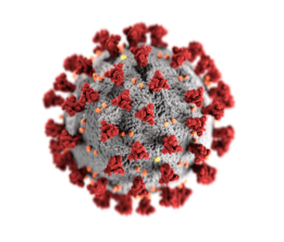 Illustration of coronavirus. The spikes on the outside of the virus resemble the look of a corona (crown) surrounding the virion when viewed under a microscope. 
