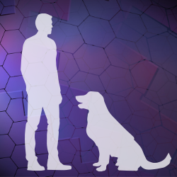 Silhouette of a man and dog facing each other with a purple geometric shape background.