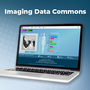 Imaging Data Commons data portal on a laptop