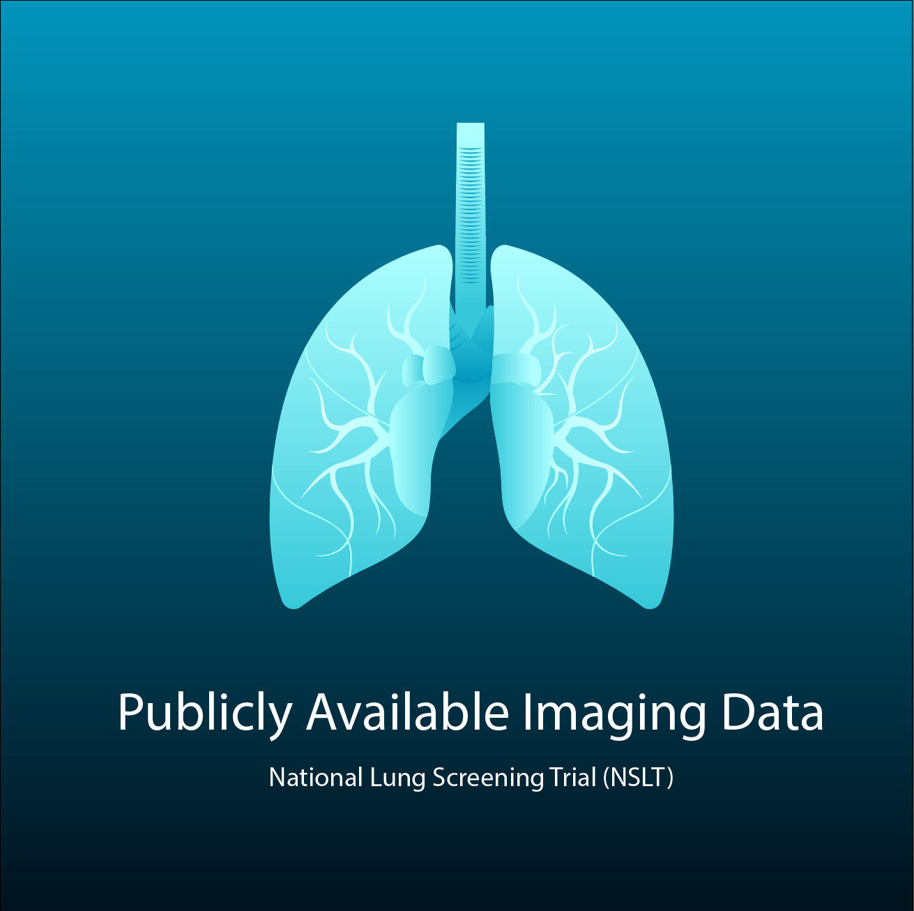 Publicly Available Imaging Data | National Lung Screening Trial (NLST)