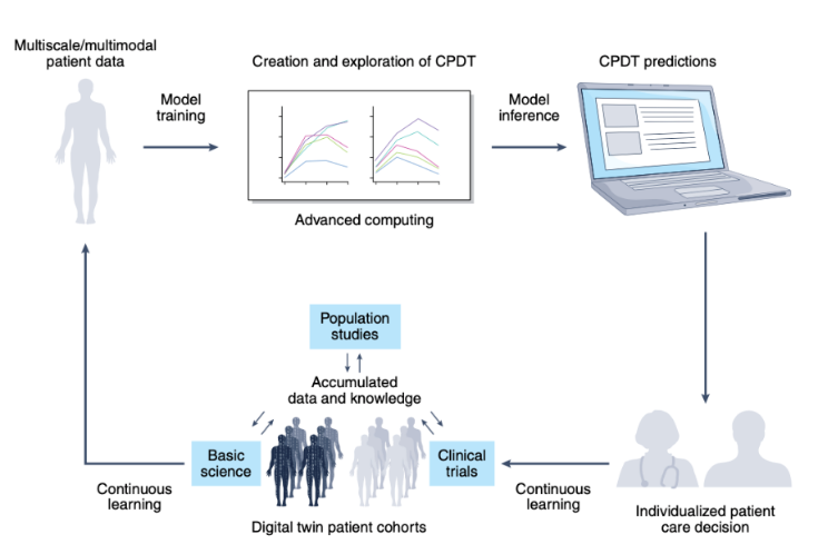 Diagram showing the lifecycle of a cancer patient digital twin (CPDT). 1. The multiscale/multimodal patient data is used to train models. 2. This creates the CPDT that can be explored with advanced computing. 3. Through model inference, researchers can make CPDT predictions. 4. That information can be shared with clinicians who can make care decisions based on individualized patient data. 5. Accumulating this data and knowledge can inform and learn from population studies, clinical trials, and other basic science research from digital twin patient cohorts. 6. Finally this in turn leads to the first step of gathering multiscale/multimodal data from a patient.
