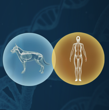 Image of dog xray and human xray side-by-side with slightly overlapping circles.