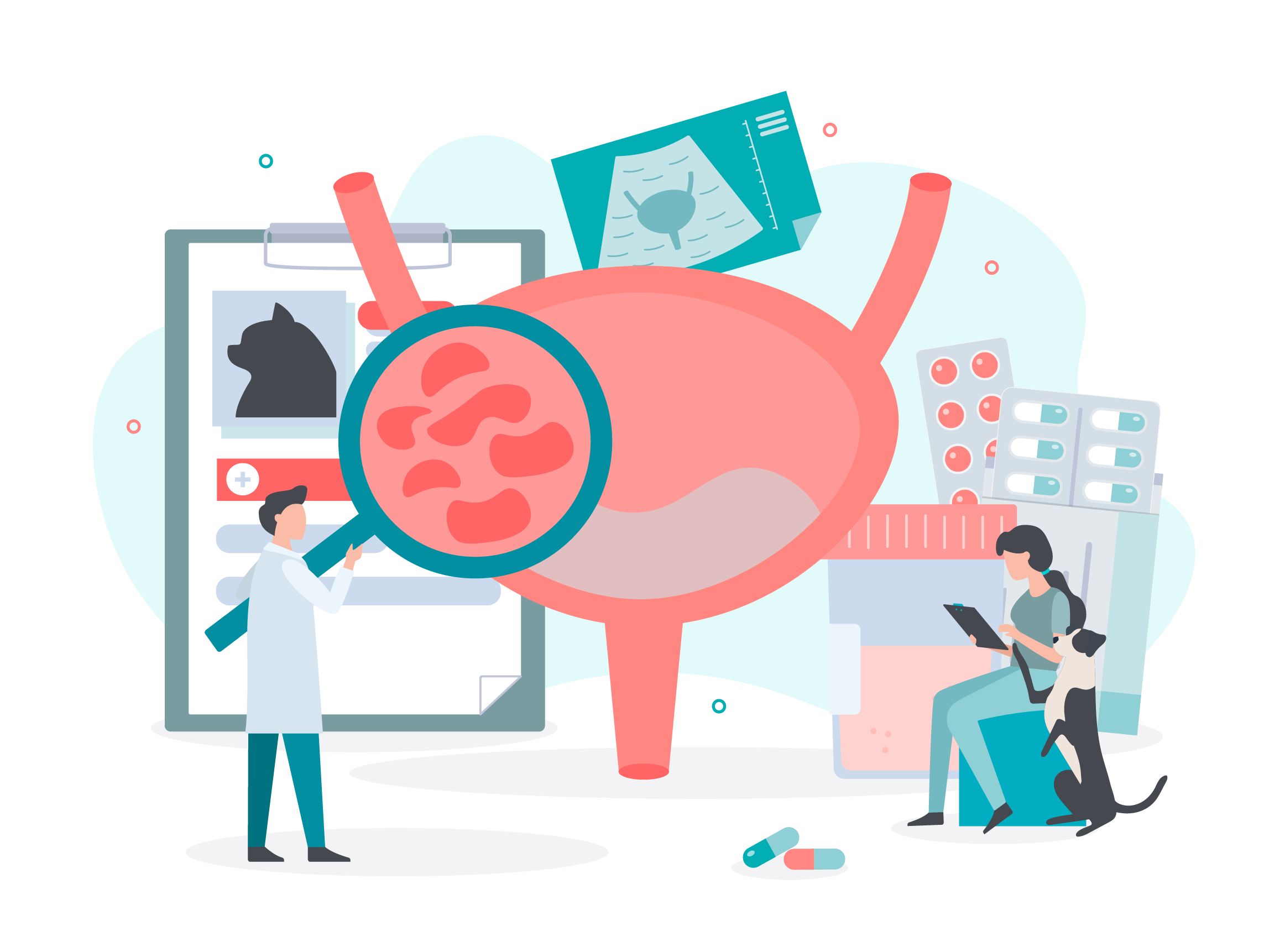 Image showing the diagnosis of bladder diseases, inflammation, ultrasound, urine analysis with a dog silhouette on the clipboard and a dog sitting with person. Supposed to represent how canine bladder cancer studies can influence human studies. 