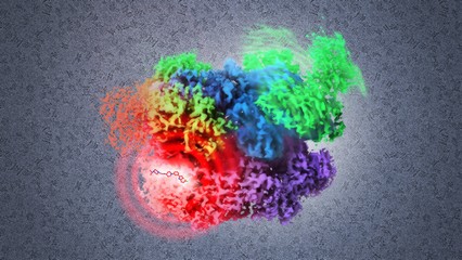 In this image of a cancer drug target visualized at the atomic level, the protein p97 is trapped in an inactive state by a new inhibitor (red) and the molecule cannot proceed into its normal reaction cycle. Image created using cryo-electron microscopy.