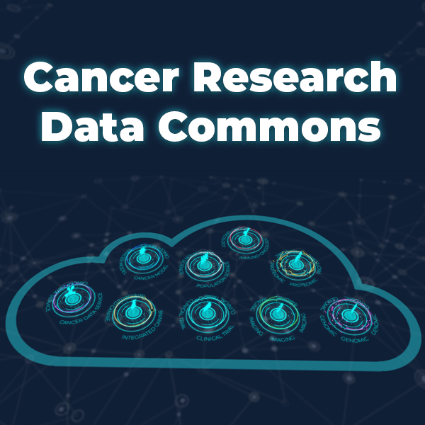 Foreground consists of text that reads, "Cancer Research Data Commons," which refers to the CRDC. The background depicts a cloud that encapsules the respositories that make up this CRDC platform.