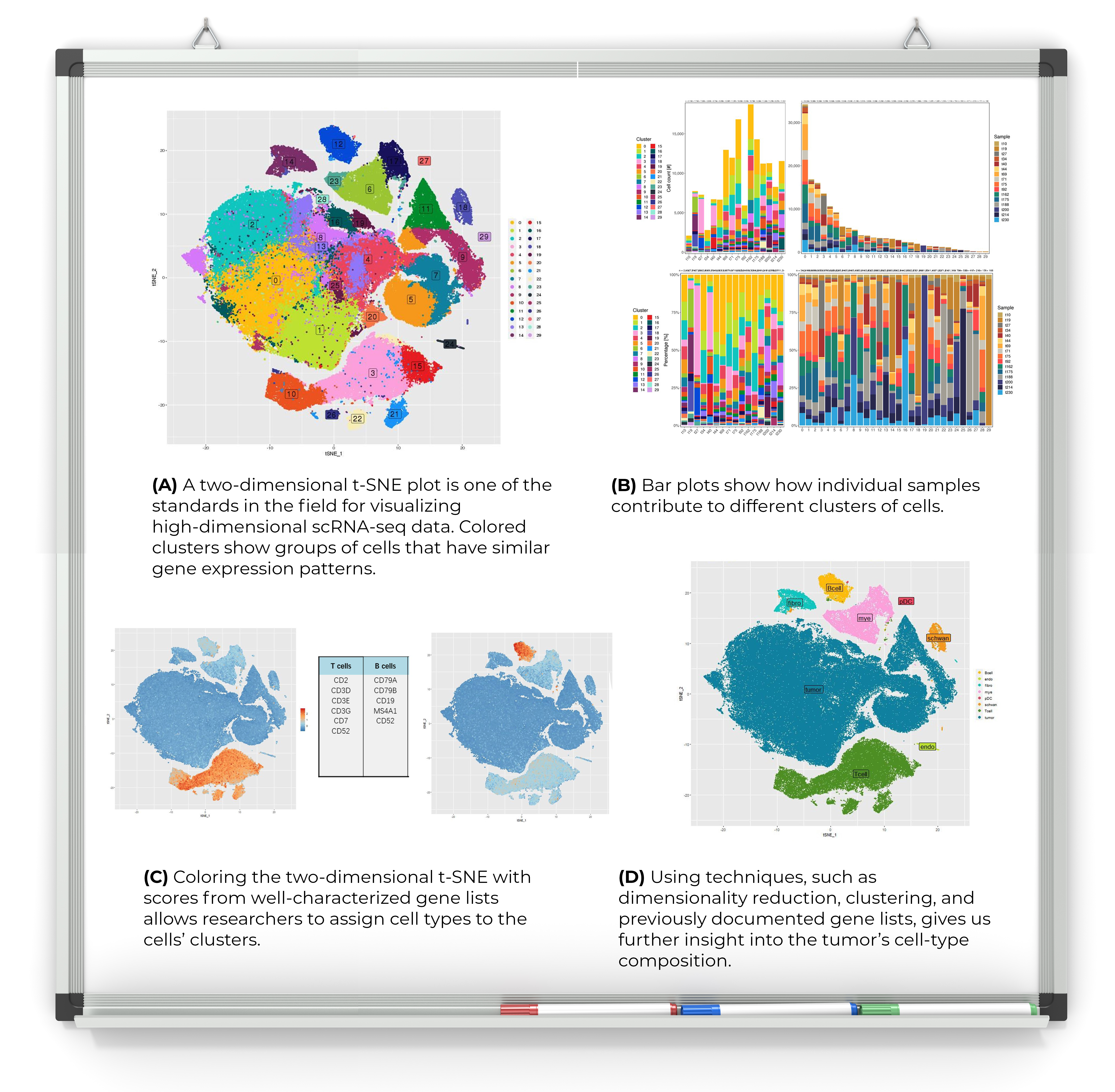Samples of ways to visualize RNA-seq data 