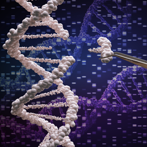 Illustration showing a piece of DNA being inserted into a DNA strand. 