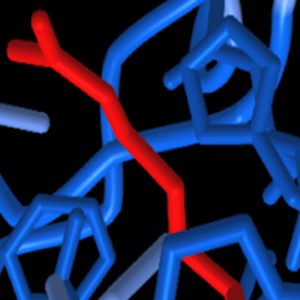 3D protein image. Shows interconnected blue strands, with one red strand in the middle. The red indicates a mutation, which resulted in a destabilized version of the protein.