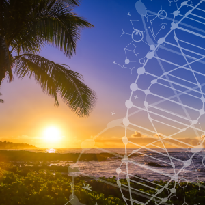 Sunset and palm tree background with DNA strand overlay