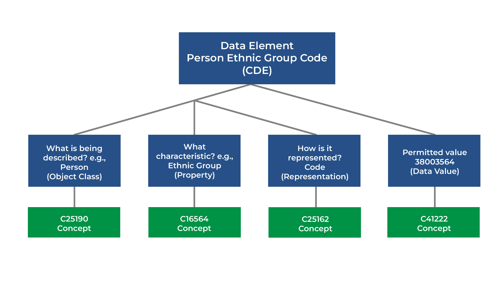 Flow chart shows a box with “Data Element: Person Ethnic Group Code (CDE)” at the top, with connections flowing to other boxes featuring descriptors used by other systems. The first connecting box reads: “What is being described? e.g., Person (Object Class)” which leads to a box with the concept number, “C25290 Concept.” The second connecting box reads: “What characteristic? e.g., Ethnic Group (Property),” which leads to the box “C16564 Concept.” The third box reads: “How is it represented? Code (Representa