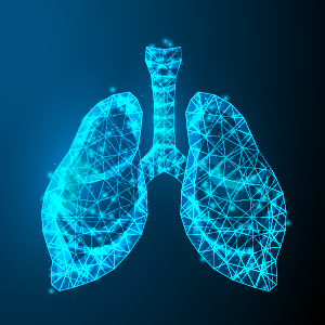 computer generated scan of a lung