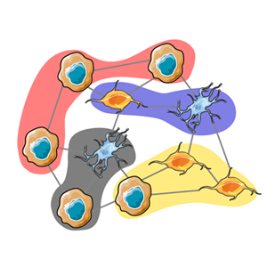 A tissue cell neighborhood shows four groups of cells, featuring different cell types, including immune cells and tumor cells. Lines connect the cells and cell groups, showing how cells interact, both with their closest neighbors and with cell groups that are farther away. 