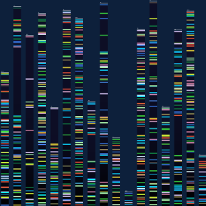 Genomic Analysis Visualization Concept over dark blue background