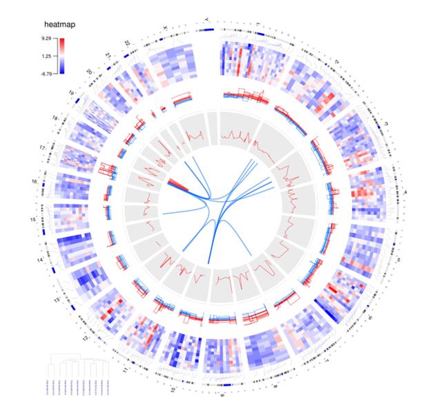 Circular image shows how you can map data from chromosomes, gene expression heatmaps, copy number variations, expression and variation correlations, and gene fusions to see genomics data in a circular format. Each of these items is shown in a separate "track" around a circle. This type of image helps researchers see their data in a way that helps them spot similarities, differences, and places of interest in genomic data. 