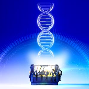 A DNA strand is seen radiating from a toolbox full of tools. Illustration shows how scientists have many tools for use in DNA analysis.