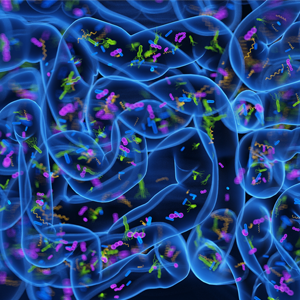  A three-dimensional image of microbiome in the small intestine. Shows loops of small intestine, dotted with small colored spots to represent various microbes.