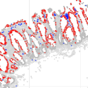 GammaGateR helps identify biomarkers in multiplexed immunofluorescence images. Image shows markers in red and blue within a single slide sample. 