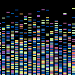 Gene sequence features brightly colored squares against a black background; shows genes in the human genome. 