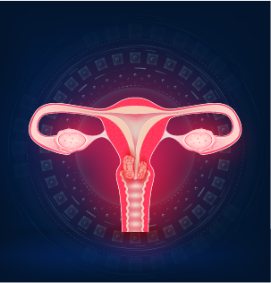 diagram of woman's cervix