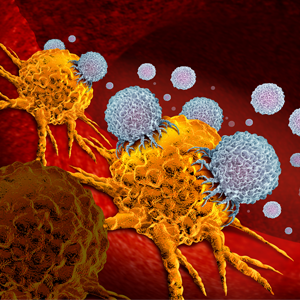 Light-colored immune cells surround and infiltrate brightly colored orange cancer cells. This denotes the concept of immunotherapy. 