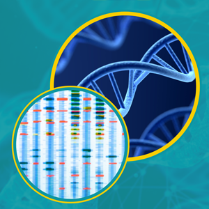 One circle contains a DNA helix strand the second circle shows a DNA strand under a microscope.