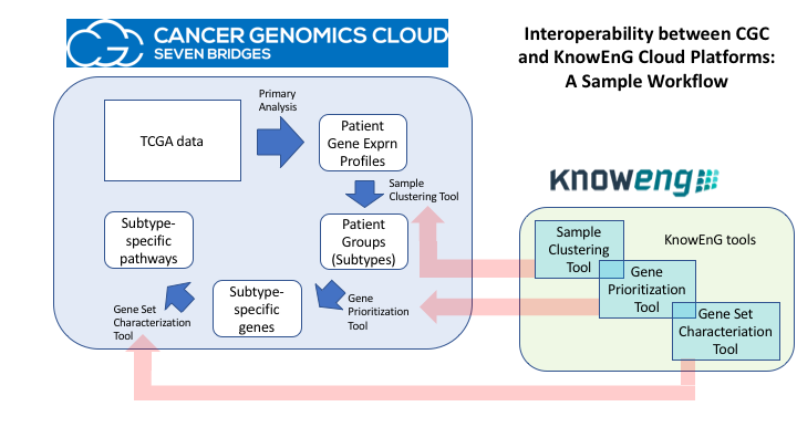 A workflow illustrating the interoperability between the Cancer Genomics Cloud and a KnowEnG cloud platform. Title text reads, "Cancer Genomics Cloud Seven Bridges. Interoperability between CGC and KnowEnG Cloud Platforms: A Sample Workflow." Within the CGC workflow section, "TCGA data" box points to "Patient Gene Exprn Profiles" box, with pointing arrow being labeled as "Primary Analysis." "Patient Gene Exprn Profiles" box points to "Patient Groups (Subtypes)" box, with pointing arrow being labeled as "Sample Clustering Tool." "Patient Groups (Subtypes)" box points to "Subtype-specific genes" box, with pointing arrow being labeled as "Gene Prioritization Tool." "Subtype-specific genes" box points to "Subtype-specific pathways" box, with pointing arrow being labeled as "Gene Set Characterization Tool." Within the KnowEnG workflow section, the three boxes, which are labeled "KnowEnG tools," read "Sample Clustering Tool," "Gene Prioritization Tool," and "Gene Set Characterization Tool."
